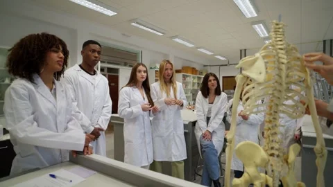 Medical students observing skeleton anatomy in laboratory class Video stock 301676512
