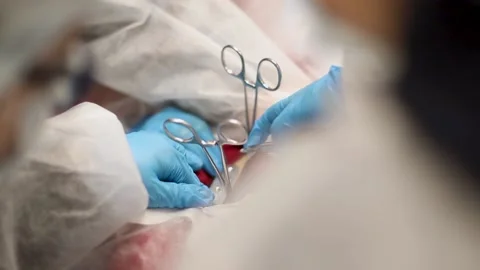 Medical students practice surgery on a dummy to do operations Stock Footage 168298053