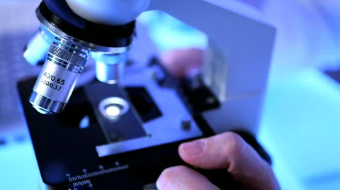 Medical students in training Stock Footage 331213