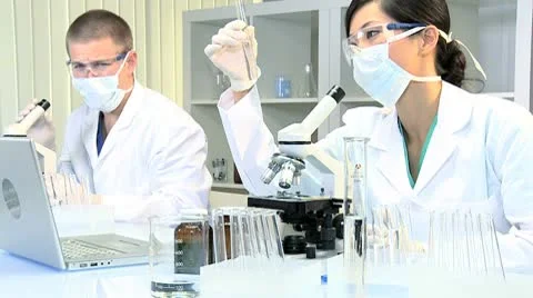 Medical Technicians Studying Research Data Stock Footage 8985733