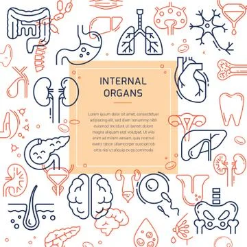 Medical template with a seamless pattern of multicolor linear icons of internal Stock Illustration