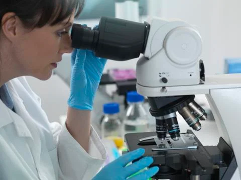 Medical testing of variety of human samples including blood and tissue under Stock Photos