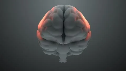 Medical theme 3d render brain with orange zones that symbolize damage or pain Stock Illustration
