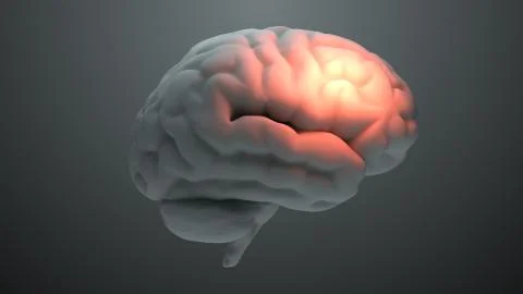 Medical theme 3d render brain with orange zones that symbolize damage or pain Stock Illustration