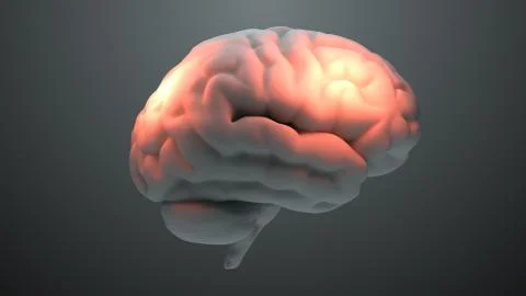 Medical theme 3d render brain with orange zones that symbolize damage or pain Stock Illustration