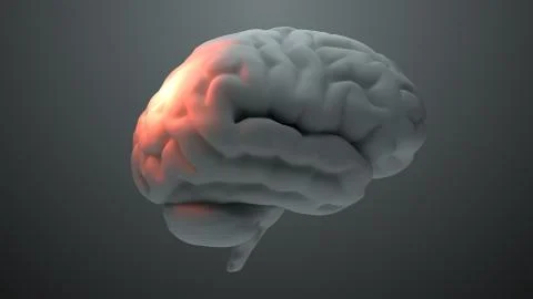 Medical theme 3d render brain with orange zones that symbolize damage or pain Stock Illustration