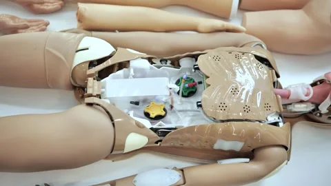 Medical training simulation dummy with open chest for emergency care education Stock Footage 323752878