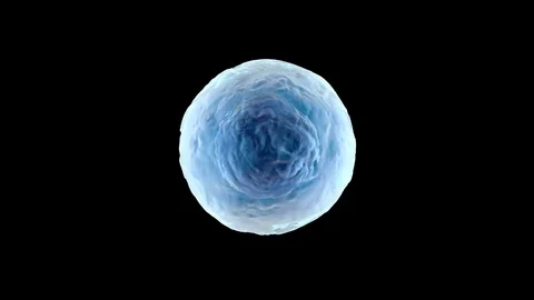 Medication supply animation Stock Footage 81551008