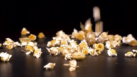 Medicinal Aromatic Plants, Chamomile Vídeo Stock 332707970