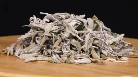 Medicinal Aromatic Plants, Sage Stock Footage 332613718