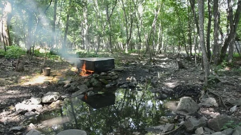 Medicinal bath in forest Stock Footage 102756075