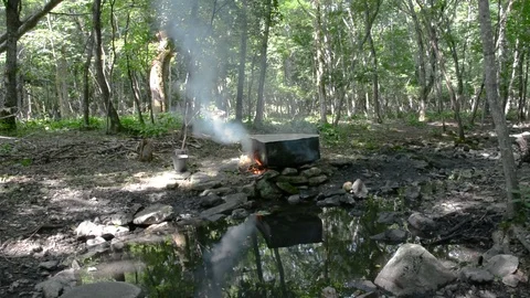 Medicinal bath in forest Video stock 103348376