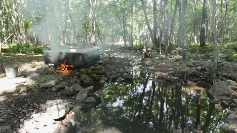 Medicinal bath in forest Stock Footage 103802695