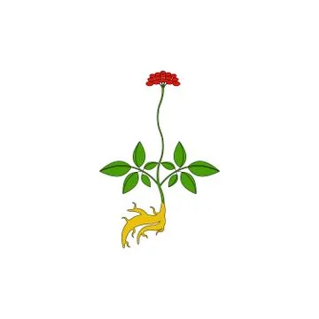 Medicinal herb icon Stock Illustration