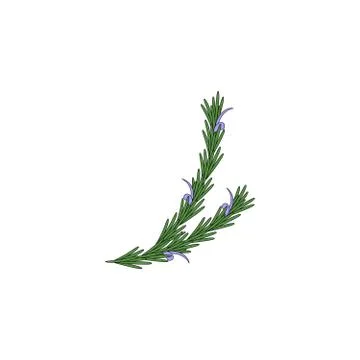 Medicinal herb icon Stock Illustration