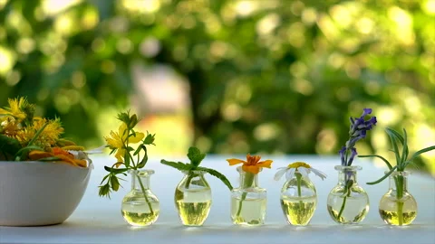 Medicinal herbal extracts in bottles. Selective focus. Stock Footage 165330996