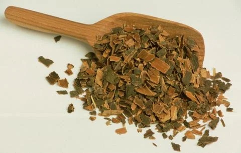Medicinal herbs Black alder Cortex buckthorn Rhamnus The dried bark of the Stock Photos