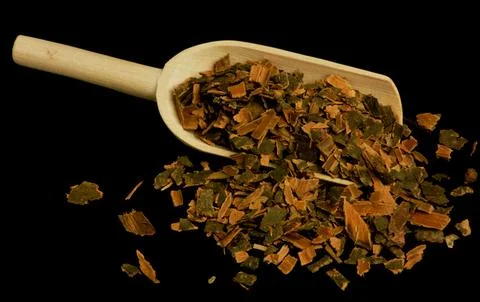 Medicinal herbs Black alder Cortex buckthorn Rhamnus The dried bark of the Stock Photos