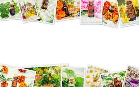 Medicinal herbs collage. Selective focus. nature flowers. Stock-Fotos