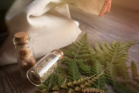 Medicinal herbs in glass packaging. Stock Photos