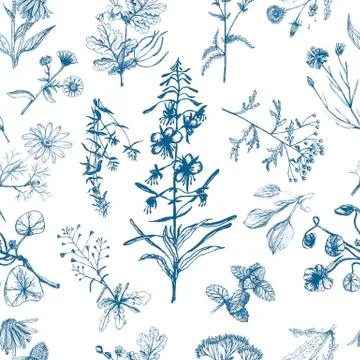 Medicinal herbs seamless pattern indigo Illustrazione stock