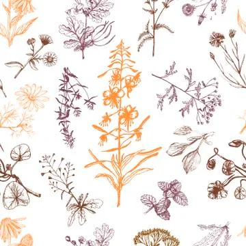 Medicinal herbs seamless pattern orange and brown Illustrazione stock