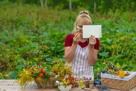 Medicinal herbs on the table. Place for notepad text. woman. Selective focus. Stock Photos