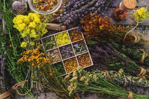 Medicinal herbs on the table. Selective focus. Stock Photos