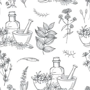 Medicinal herbs.Vector  pattern Stock Illustration