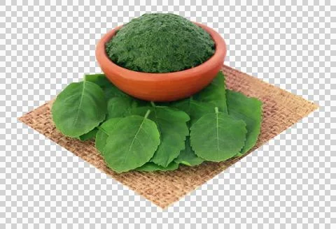 Medicinal holy basil with ground paste Stock Photos