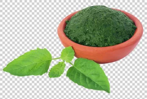 Medicinal holy basil with ground paste Stock Photos