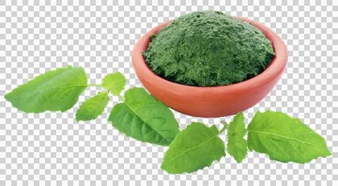 Medicinal holy basil with ground paste Stock Photos