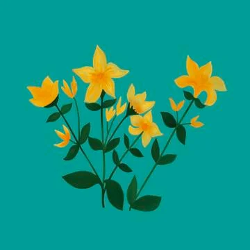 Medicinal plant St. John's wort on a green background Stock Illustration
