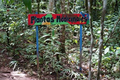Medicinal Plants Stock-Fotos