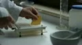 medicine and drugs. create capsules HD Footage