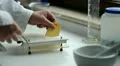 medicine and drugs. create capsules HD Footage