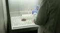 medicine and research HD Footage
