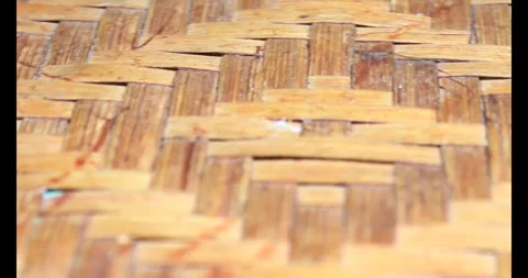 Medicine on disk Stock Footage 293556714