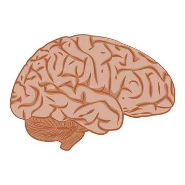 Medicine icon brain. Stock Illustration