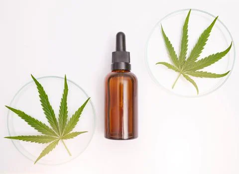 Medicine, natural and oil with leaf of cannabis on white background for health Stock Photos