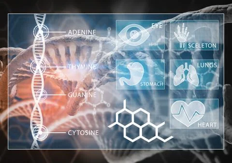 Medicine user interface, 3D rendering Stock Illustration