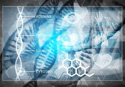 Medicine user interface, 3D rendering Stock Illustration