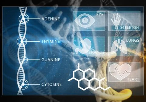 Medicine user interface, 3D rendering Illustrazione stock