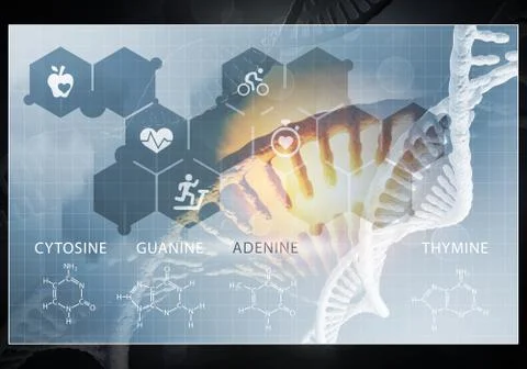 Medicine user interface, 3D rendering Stock Illustration