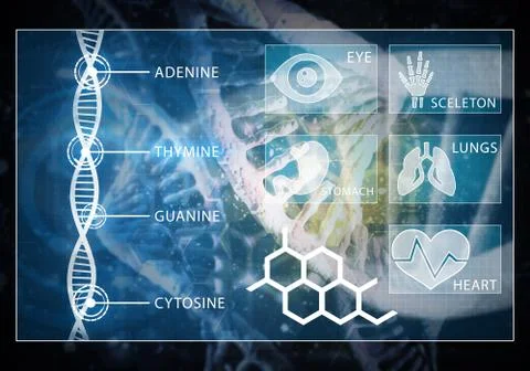 Medicine user interface, 3D rendering Stock Illustration