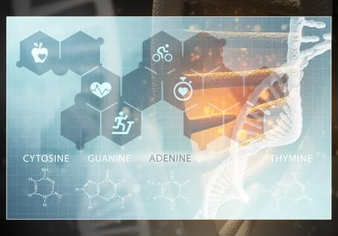 Medicine user interface, 3D rendering Stock Illustration