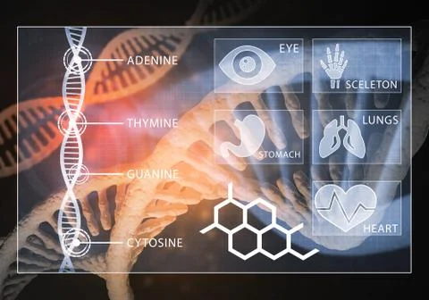 Medicine user interface, 3D rendering Stockillustratie
