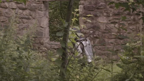 Medieval Adventure Stock Footage 247342640