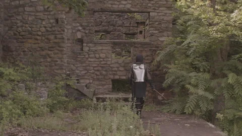 Medieval Adventure Stock Footage 247344000