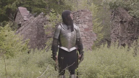 Medieval Adventure Stock Footage 247344089